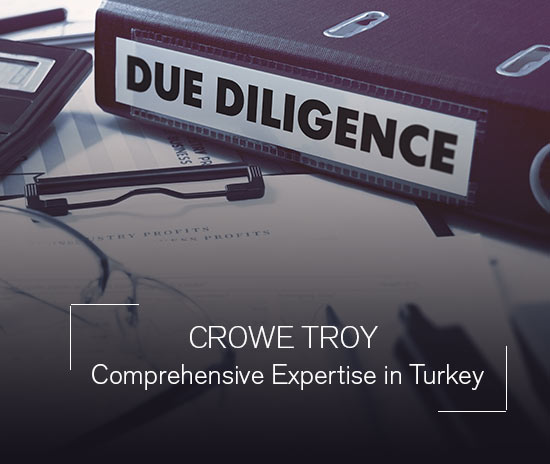 Due Diligence Specific Transaction Advisory in Turkey